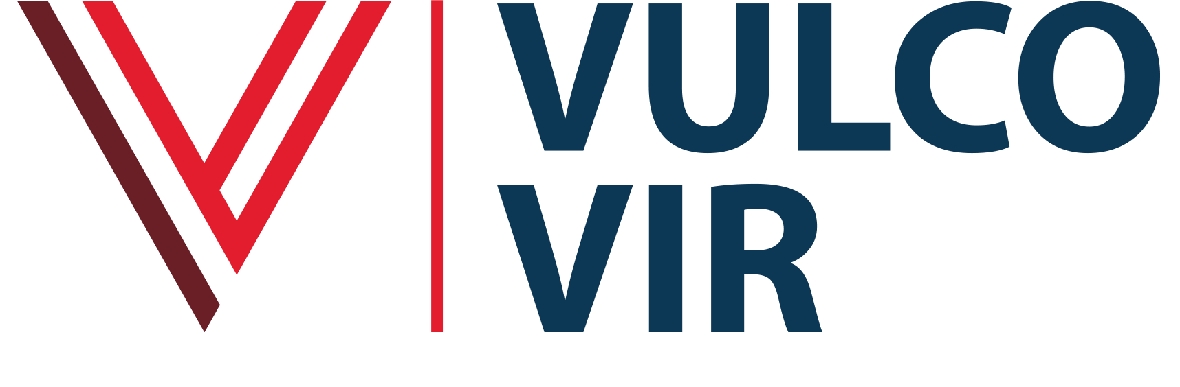 logo vulcovir